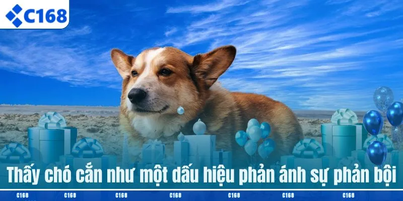 Thấy chó cắn như một dấu hiệu phản ánh sự phản bội